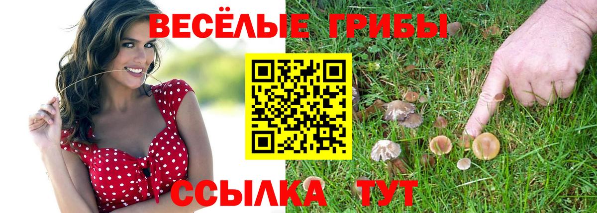 Заволжье  Псилоцибиновые грибы Psilocybine cubensis  Вход с VPN 